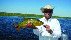 dorados esteros del iberá