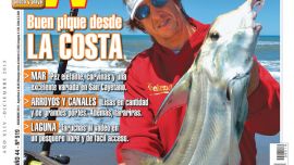 WEE-0519-001-ULTIMA-face-web