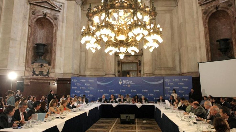 La Bicameral ratificó el DNU de Cristina. 