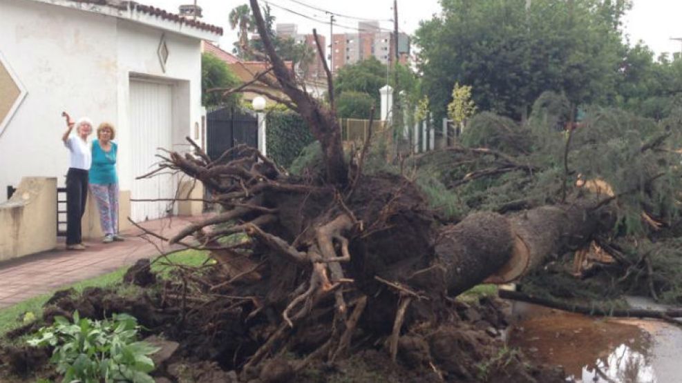 Fuerte temporal causó destrozos en Córdoba.