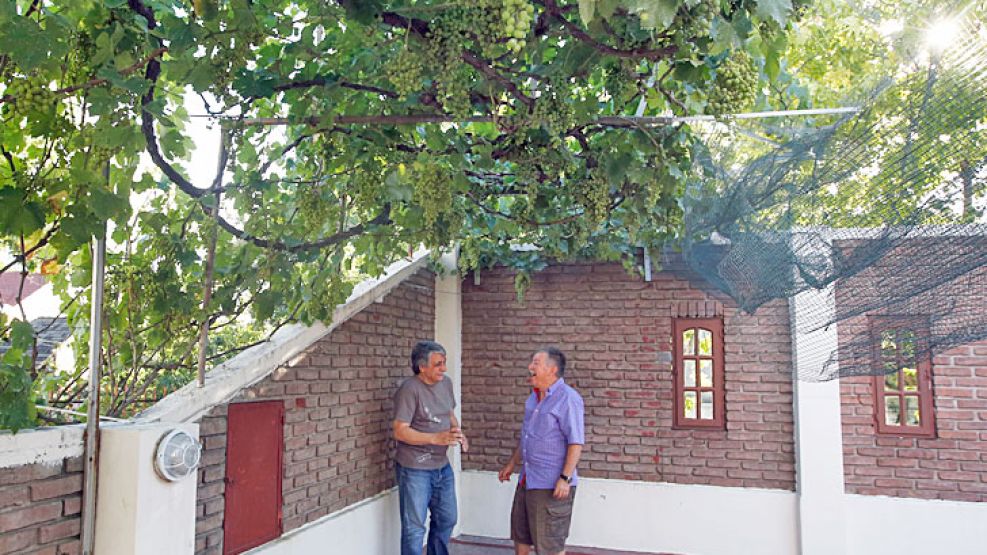 ‘Parrales de Villa Urquiza’. Así bautizó Juan Carlos Gómez Lardies (der.) su producción con uvas cultivadas en su terraza.
