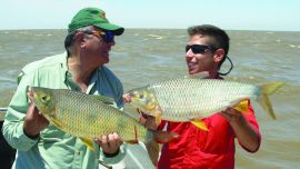 bogas berisso merino