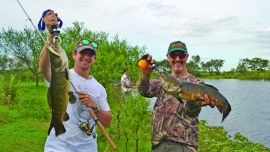 tarariras villa paranacito