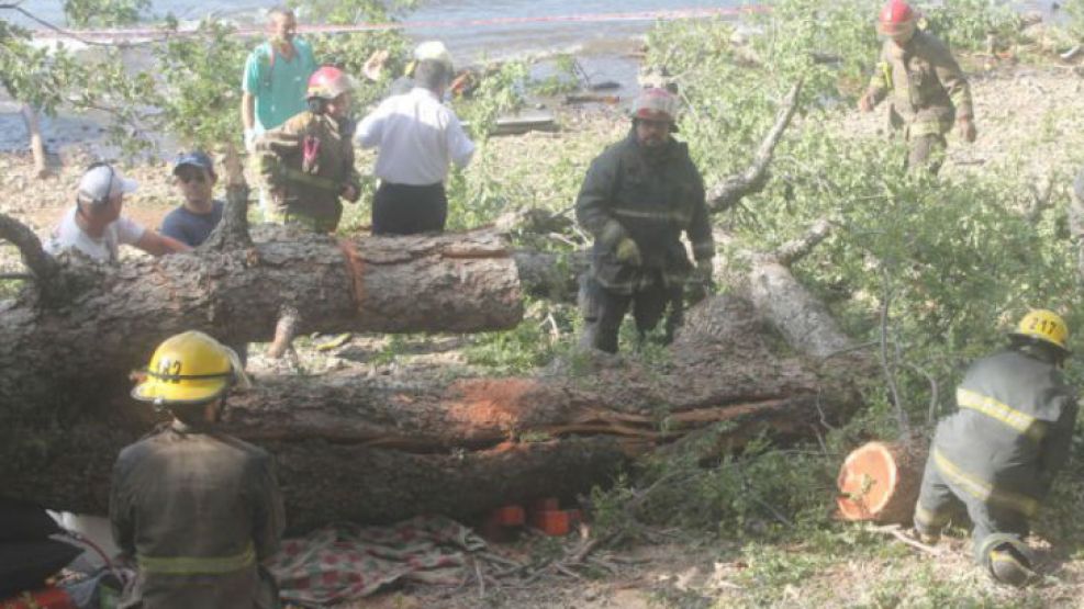 Dos nenes murieron aplastados por un árbol en un camping en San Martín de los Andes.