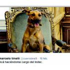 Los tuits de Tinelli