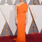 Alfombra Roja Oscar 2016 (7)