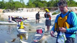 kayak urubu