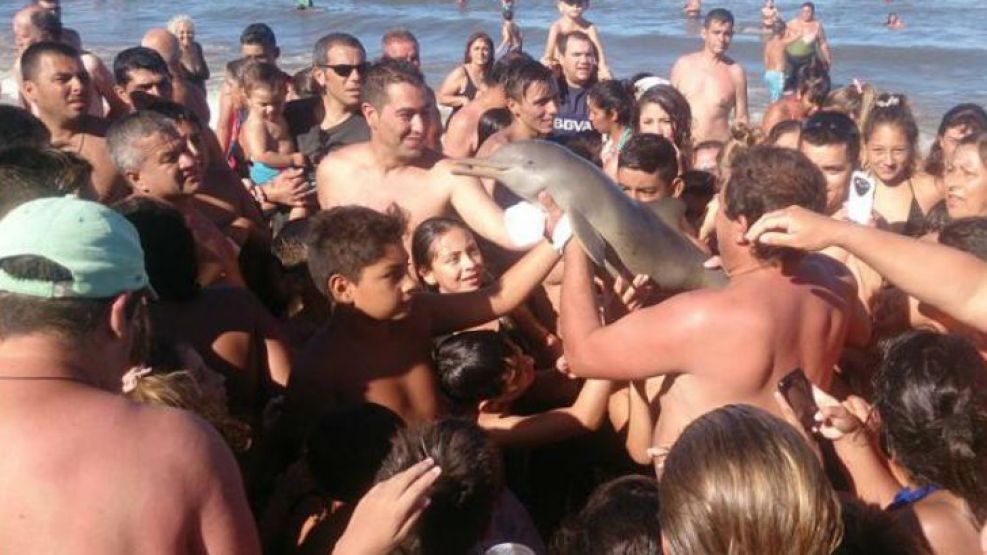Repudiable accionar. El turista que tuvo la idea tiene al delfín en sus manos y decenas de personas lo rodean, con insólita alegría.