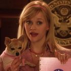 legally-blonde-elle-bruiser-woods 2