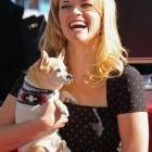legally-blonde-elle-bruiser-woods 5