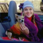legally-blonde-elle-bruiser-woods