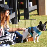 Famosos Mascotas -4
