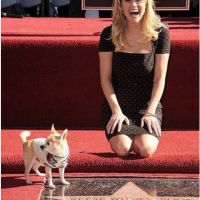 reese Witherspoon