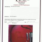 La Gibson de Springsteen (7)