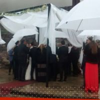 pamela david - daniel vila