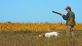 Caza perdiz en Labarden-50