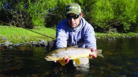 ninfas y secas limay medio