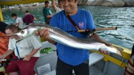 sables brasil