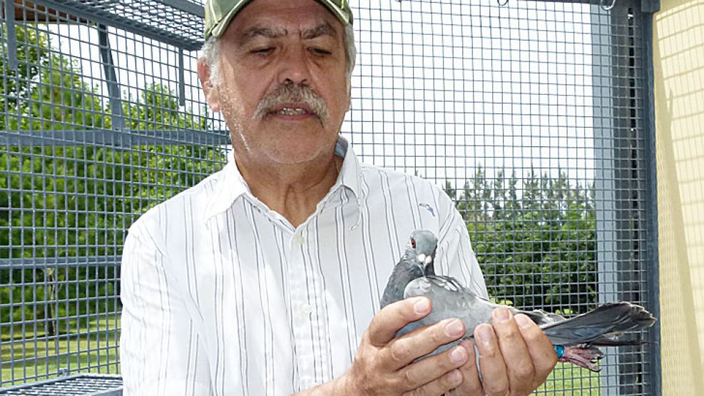 En la jaula. El ex ministro y su afición a la cría de palomas.