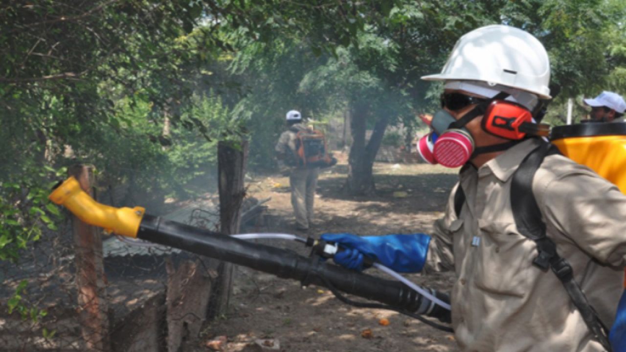 dengue-fumigacion