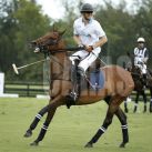 US-ROYALS-POLO-HARRY