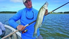 pejerreyes san cayetano