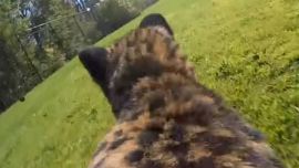 chita1