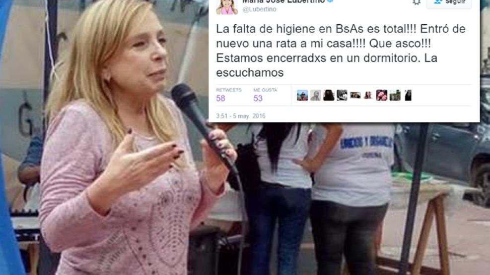 Lubertino denunció a la rata por Twitter.