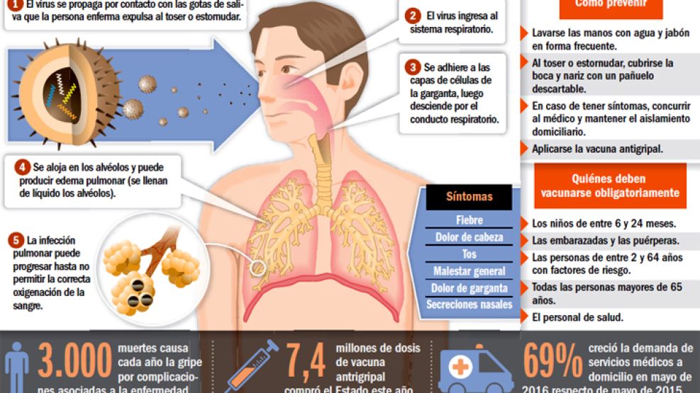 Cómo se contagia la Gripe A.