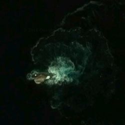 Antartida1-Kraken
