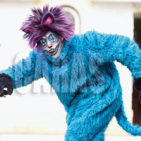 cirio 3