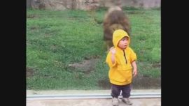 0906_leonzoo_weekend_990g