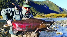 salmon chinook puelo