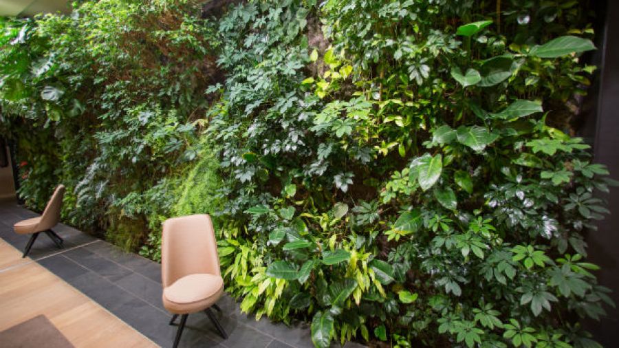 si-bien-suelen-ser-mas-frecuentes-en-grandes-espacios-como-aeropuertos-y-centros-comerciales-la-moda-de-las-paredes-verdes-empieza-a-imponerse-en-el-hogar-credito-frank-rumpenhorst-dpa-tmn