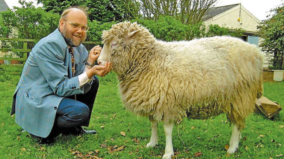 Maestro. El británico Ian Wilmut, “padre” de Dolly. La oveja fue sacrificada en 2003 y su cuerpo disecado está expuesto en un Museo.
