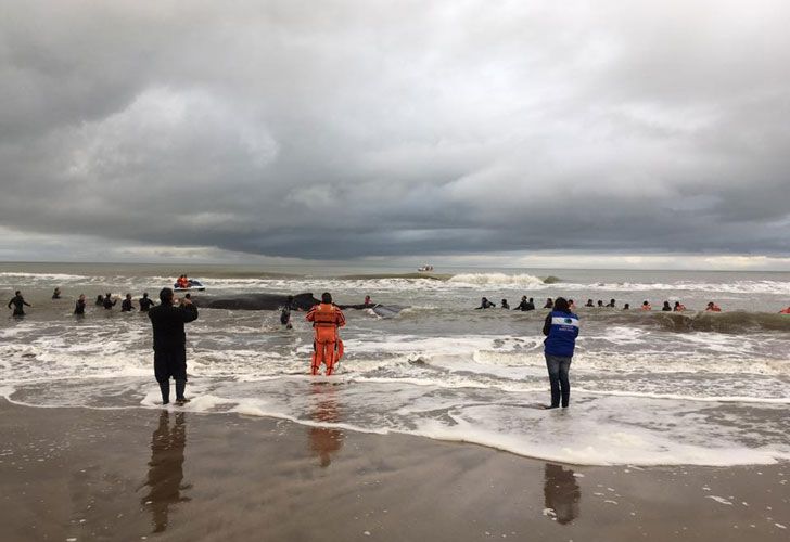 El operativo rescate se realizó mar adentro