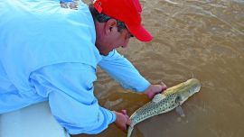 DSCN6287