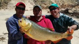 maxi acosta Bella Vista Corriente990s