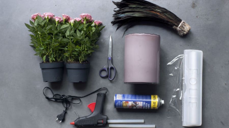 como-decorar-una-maceta-en-casa-con-plumas-foto-dpa
