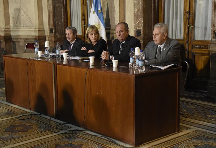 Gustavo Gonzalez en el Senado