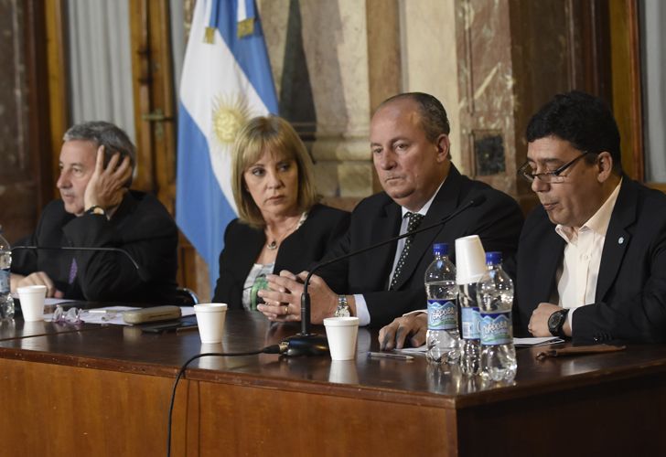 Gustavo Gonzalez en el Senado