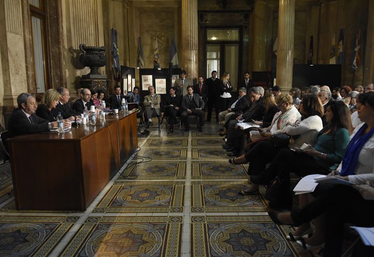 Gustavo Gonzalez en el Senado