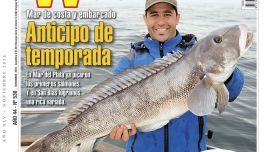 tapa-wee-530