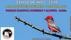 flyer-censo-primavera-2016