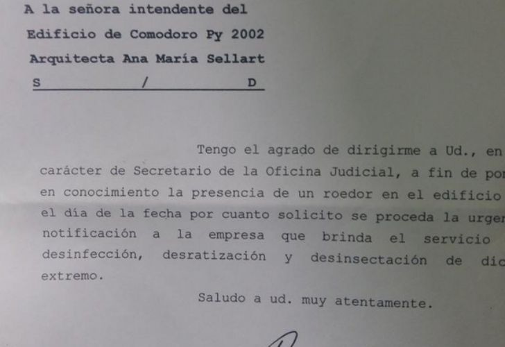 Casación solicitió la desratización de Comodoro Py.