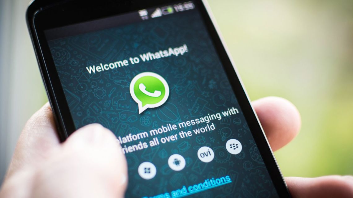 ¿Qué pasó con Whatsapp? Perfil