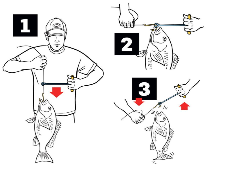 essential_skills_how-to_fishing_tips10