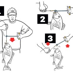 essential_skills_how-to_fishing_tips10