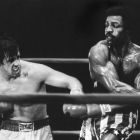 rocky-40-aniversario-28