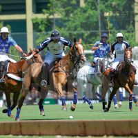polo-1